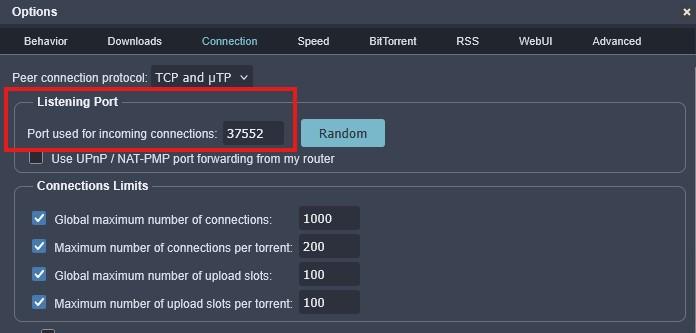 QBittorrent connection